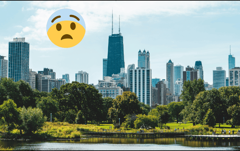 Los árboles mixtos pueden equilibrar la sombra estacional y la luz solar. Pexels