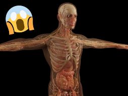 En casos extremos, la hiperglucemia puede generar coma diabético y un alto riesgo de muerte debido a complicaciones agudas. PIXABAY