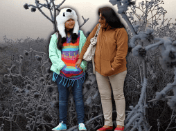 Durante la Temporada de Frentes Fríos 2024-2025 se prevé la ocurrencia de 48 sistemas frontales y 7 tormentas invernales en México. NTX / ARCHIVO