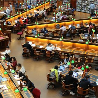 Universidades de EU toman medidas ante la amenaza de deportaciones masivas