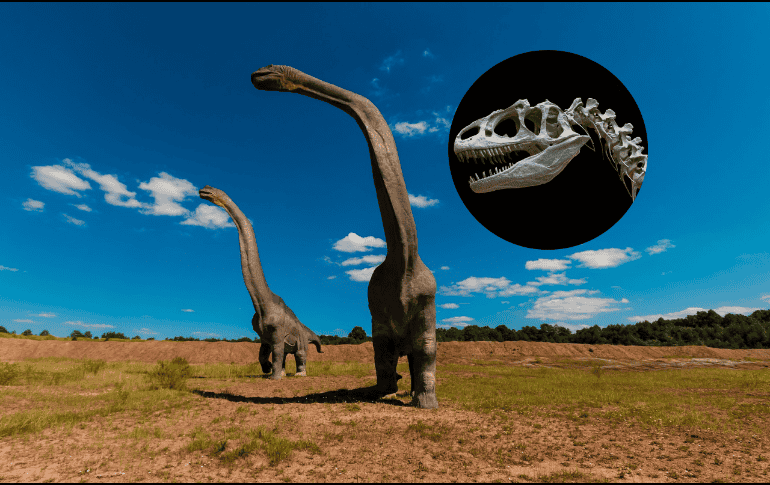 Este dinosaurio medía aproximadamente ocho metros de largo. Pixabay