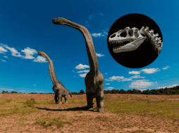 Este dinosaurio medía aproximadamente ocho metros de largo. Pixabay