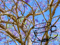 Pese a tratarse de una flor sin demasiados nutrientes, sus pétalos aportan muchos beneficios en la prevención de enfermedades.  UNSPLASH / H. Hc