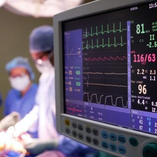 Tercera persona recibe trasplante de un riñón de cerdo