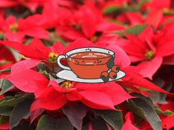 Se recomienda no beber más de 2 tazas al día. NTX / ARCHIVO