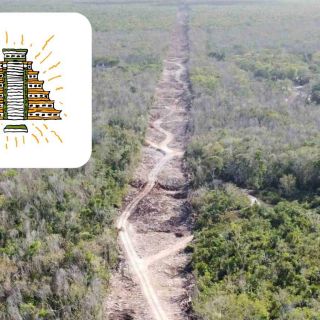 Esqueletos hallados en el Tren Maya revelan indicios de la vida en las culturas prehispánicas