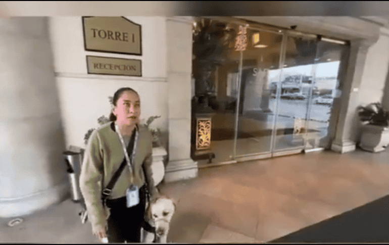 Ante la situación, la Escuela para Entrenamiento de Perros Guía para Ciegos I.A.P. emitió un comunicado condenando los actos de discriminación. ESPECIAL