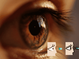 Usar pupilentes caducados puede parecer inofensivo, pero los riesgos a largo plazo son demasiado altos. CANVA