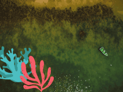 La investigación revela que los arrecifes de coral tienden a evolucionar desde formas simples y redondeadas a otras más complejas y alargadas. EFE/ ARCHIVO/ ESPECIAL