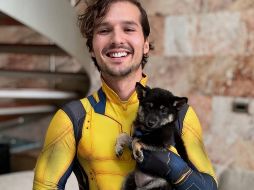 Aponte reapareció en su cuenta de Instagram con videos donde aparecen sus mascotas, Aika y Sora, y confirmó que les administra gotas de CBD de uso veterinario para reducir su ansiedad. INSTAGRAM/@memoapont