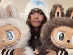 Los Labubus vienen en diferentes formatos: desde figuras de plástico hasta peluches con accesorios como ropa y bolsos. X / @POPMARTGlobal