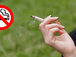 Aún no se ha especificado cómo se regulará la aplicación de esta normativa. UNSPLASH / KOA'LINK