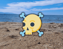 Las playas no aptas para que los vacacionistas las utilicen, son aquellas que rebasan de 200 enterococos por cada 100 mililitros de agua, ya que implican un riesgo sanitario para la población. EL INFORMADOR / O. Álvarez