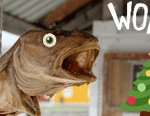 Algunas de estas preparaciones podrían sorprender incluso a los más aventureros comensales. UNSPLASH / P. Musioł