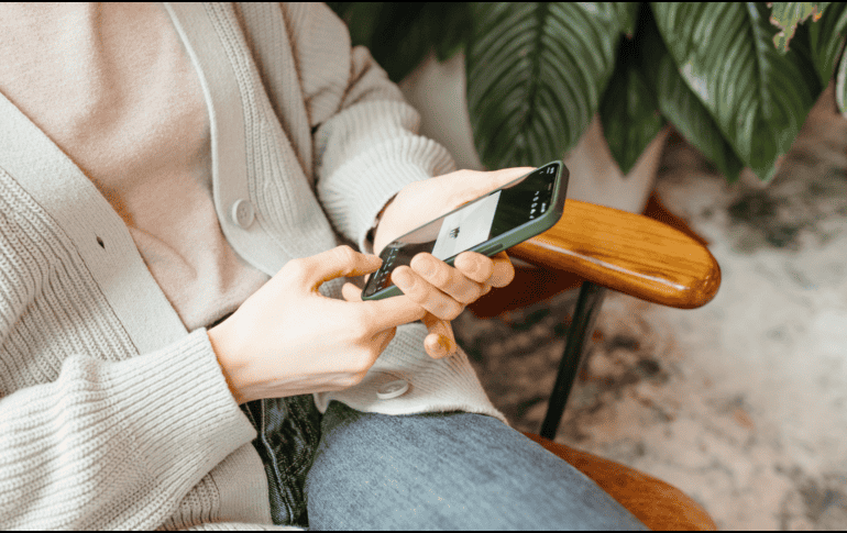 El jueves 19 de diciembre la Ley Silla fue publicada oficialmente en el Diario de la Federación (DOF). PEXELS/ Anastasia Shuraeva