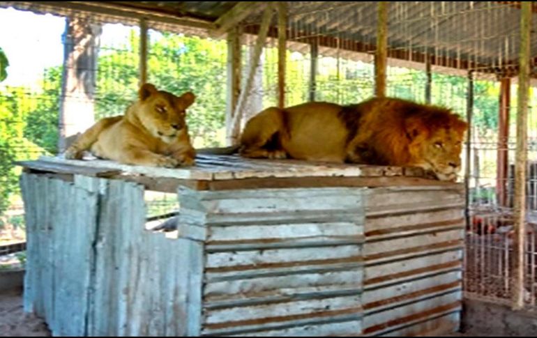 Las autoridades realizaban recorridos de vigilancia en el poblado denominado El Cedro del municipio de La Huerta. ESPECIAL / FGR