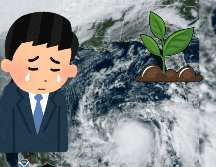 En 2021, la Tormenta Tropical Zeta se convirtió en Huracán, cerca de la península de Yucatán. AP / CANVA / ARCHIVO