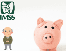 Es fundamental cumplir con los requisitos establecidos por el IMSS y recopilar la información necesaria para obtener una estimación precisa. UNSPLASH / F. Blank