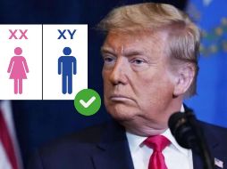 Excluir a las personas transgénero del ejército y de las escuelas de nivel básico y medio.
Impedir la participación de hombres en deportes femeninos. AP/ARCHIVO