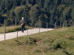 Al combinar ejercicio con una dieta equilibrada rica en calcio, proteínas y ácidos grasos saludables, se puede mantener una vida activa y saludable después de los 50 años. Pixabay.