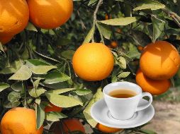 Uno de los principales usos del té de hojas de naranjo es como un remedio natural para combatir el estrés. ESPECIAL / CANVA