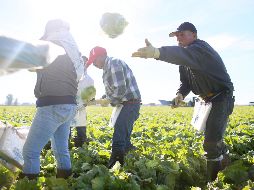 En Estados Unidos hay un total de 38.4 millones de mexicanos, de los que 11.5 millones son migrantes de primera generación, incluyendo a los indocumentados. AFP / ARCHIVO