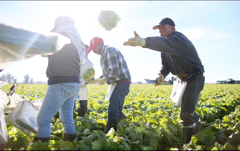 En Estados Unidos hay un total de 38.4 millones de mexicanos, de los que 11.5 millones son migrantes de primera generación, incluyendo a los indocumentados. AFP / ARCHIVO