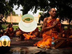 Los tés son una bebida deliciosa, versátil y muy accesible. ESPECIAL / Pexels y CANVA