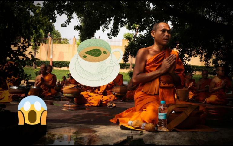 Los tés son una bebida deliciosa, versátil y muy accesible. ESPECIAL / Pexels y CANVA