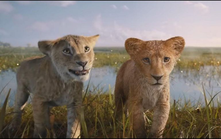 Estos títulos comparten principalmente la cartelera internacional actualmente con ‘Wicked’ y  ‘Moana 2’. ESPECIAL / YOUTUBE @Disney