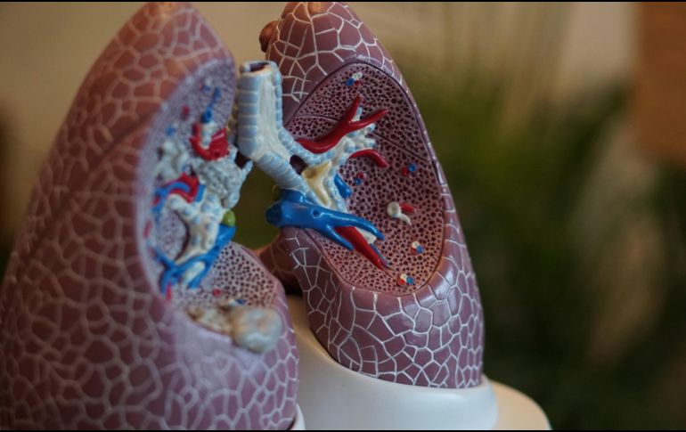 El orégano, el tomillo y la salvia son hierbas beneficiosas para la salud de tus pulmones. Unsplash