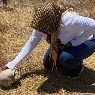 Ascienden a 17 los cuerpos encontrados en fosas clandestinas de Chiapas