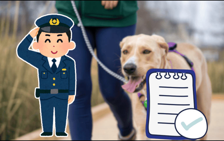 Se estima que alrededor de 25 millones de perros viven en las calles de la capital del país. CANVA