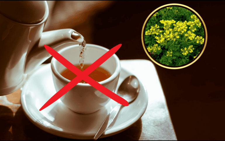 El té de ruda, en cantidades moderadas, no debería generar problemas en adultos sanos. Pixabay / Canva