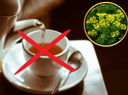 El té de ruda, en cantidades moderadas, no debería generar problemas en adultos sanos. Pixabay / Canva