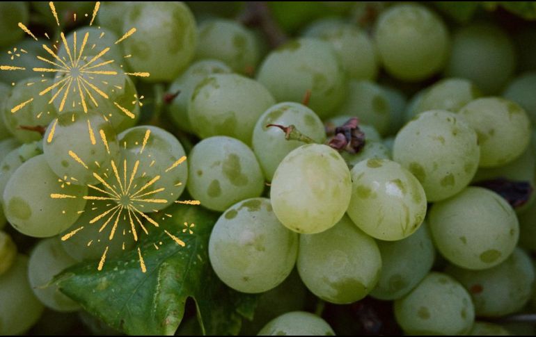 Para muchas personas, comer uvas verdes o rojas en Año Nuevo representa el éxito, felicidad, prosperidad, amor y paz. UNSPLASH / S. SMEEKES