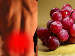 De acuerdo con datos de la Fundación Americana para la Salud del Riñón, una de cada nueve personas desarrollará un problema de riñón. ESPECIAL/Imagen de Tumisu en Pixabay/Imagen de Pexels en Pixabay