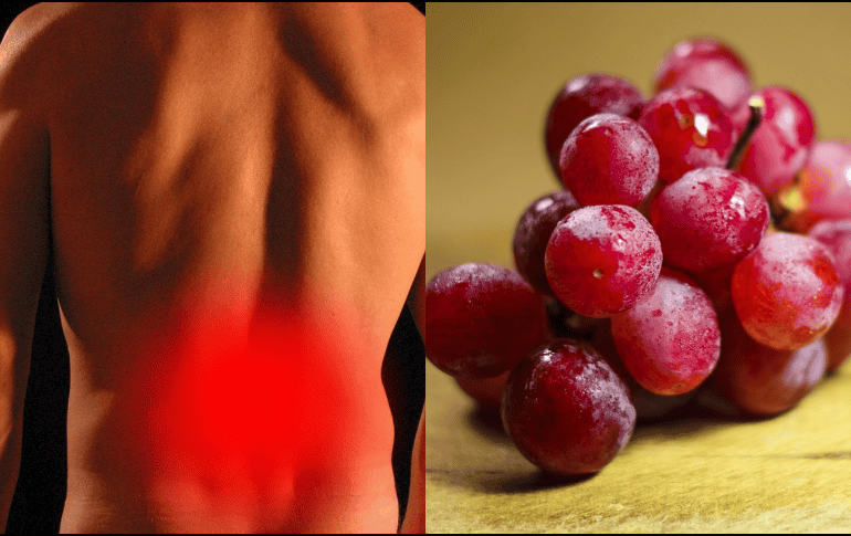 De acuerdo con datos de la Fundación Americana para la Salud del Riñón, una de cada nueve personas desarrollará un problema de riñón. ESPECIAL/Imagen de Tumisu en Pixabay/Imagen de Pexels en Pixabay