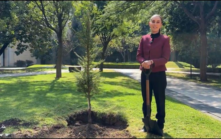 A través de un video publicado en redes sociales, Sheinbaum Pardo aseguró que 