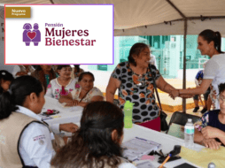 El objetivo del programa es reconocer el trabajo de las mujeres dentro del núcleo familiar y contribuir a su independencia económica. ESPECIAL/Programas para el Bienestar