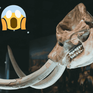 Mastodontes y perezosos gigantes coexistieron con humanos por milenios