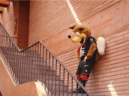 Esto es lo que pasará con Lico, la mascota del Atlas. ESPECIAL / X: @AtlasFC