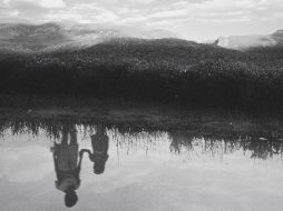 José Madero comienza el año con el doble estreno de “Campeones del Mundo / Rayo de Luz”. ESPECIAL / X: @Jose_Madero