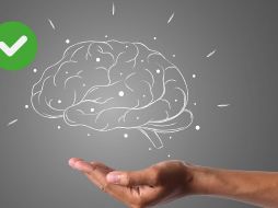 Los científicos afirman que los cerebros con un aspecto más viejo se asocian a accidentes cerebrovasculares, inactividad física y diabetes, por lo que recomiendan estos hábitos para mejorar la salud vascular y beneficiar a este órgano.ESPECIAL/Pixabay y Canva