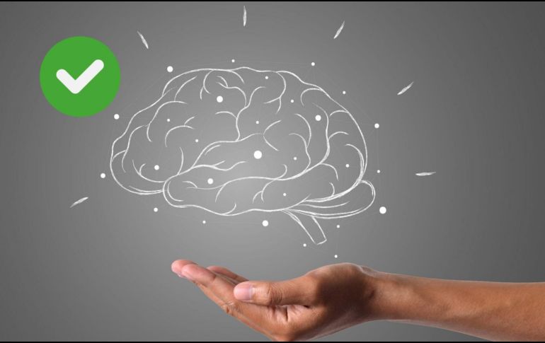 Los científicos afirman que los cerebros con un aspecto más viejo se asocian a accidentes cerebrovasculares, inactividad física y diabetes, por lo que recomiendan estos hábitos para mejorar la salud vascular y beneficiar a este órgano.ESPECIAL/Pixabay y Canva