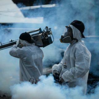 Tendencia de contagios de dengue en Jalisco sigue a la baja