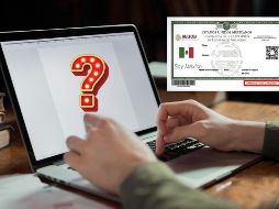 En México, para la realización de la mayoría de los trámites oficiales, las personas deben presentar la Clave Única de Registro de Población. ESPECIAL / CANVA