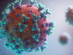 La transmisión de este virus ocurre por contacto directo con secreciones contaminadas. UNSPLASH / FUSION MEDICAL ANIMATION