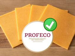 Con estas recomendaciones respaldadas por Profeco, tu próximo sándwich no solo será delicioso, sino también preparado con ingredientes de la mejor calidad. PROFECO