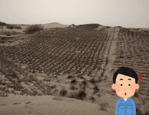 El 26.9 por ciento de la superficie total sigue clasificada como desertificada. Flickr